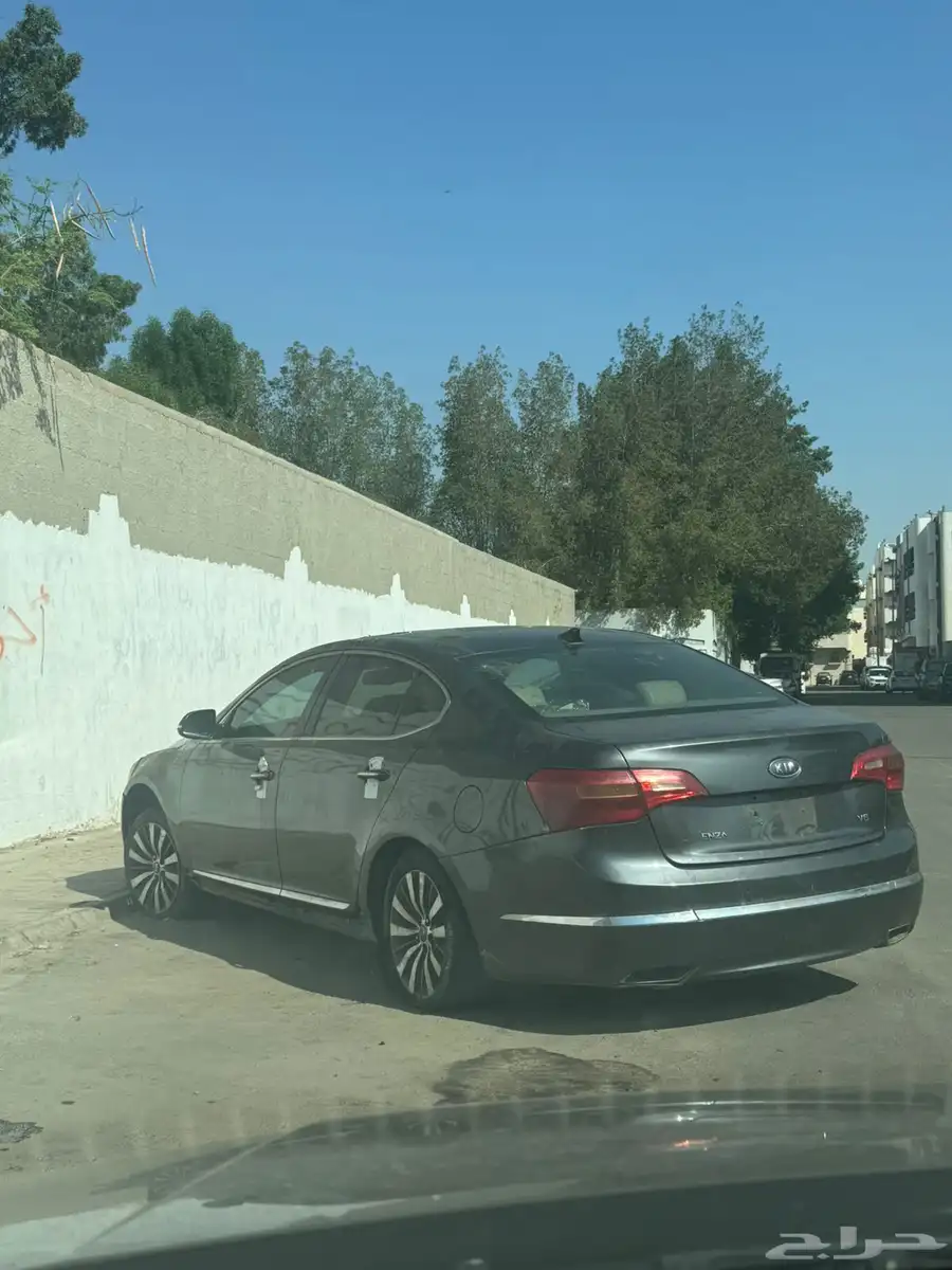 كادينزا 2011 0
