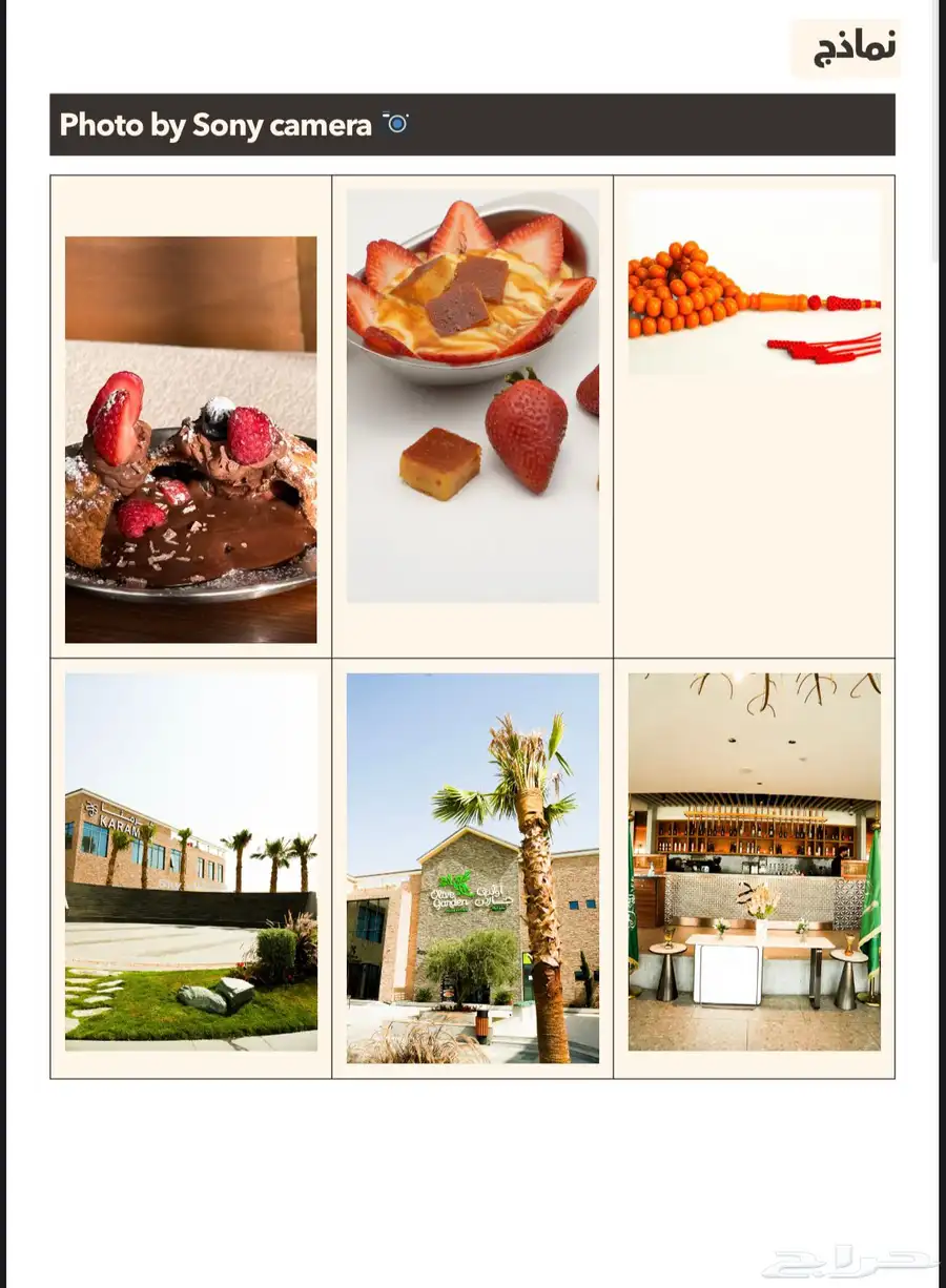 مصور احترافي 1