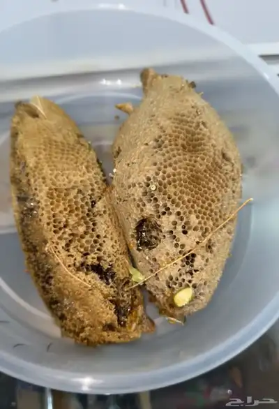 عسل جبلي 2