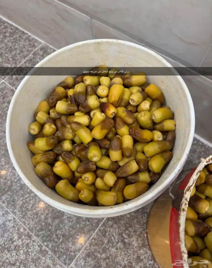 تمور فاخره وأنواع فاخره 0