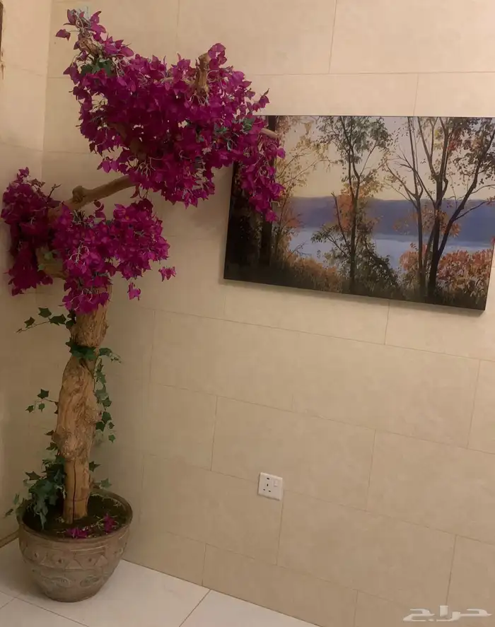 ينبع الصناعيه 1
