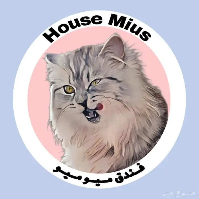 فندقة قطط الشرقية 2