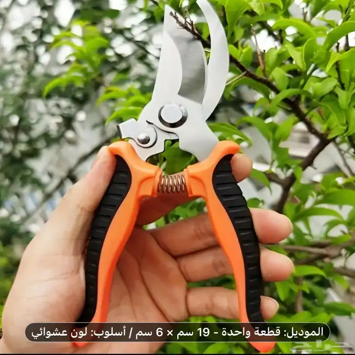 مقص لتقليل الأشجار قوي يجي بعدت ألوان السعر 30 ريال 1