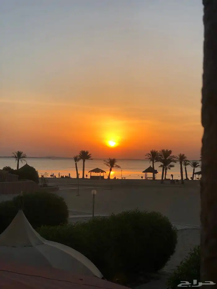 العاب وترفيه صيفيه فيه شاليه مطل على البحر الخبر 17