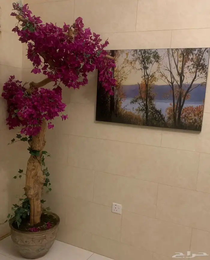 ينبع الصناعيه 2