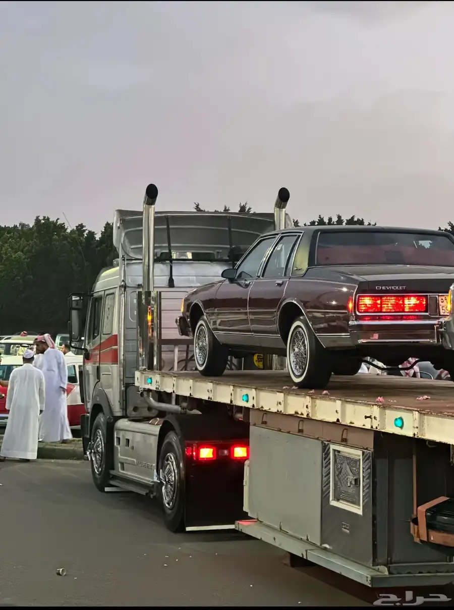 البي شد بلد 22