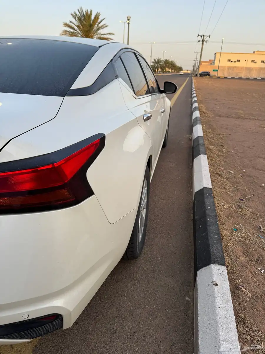 التيما 2020 5