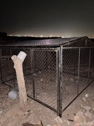 شبك غنم 2
