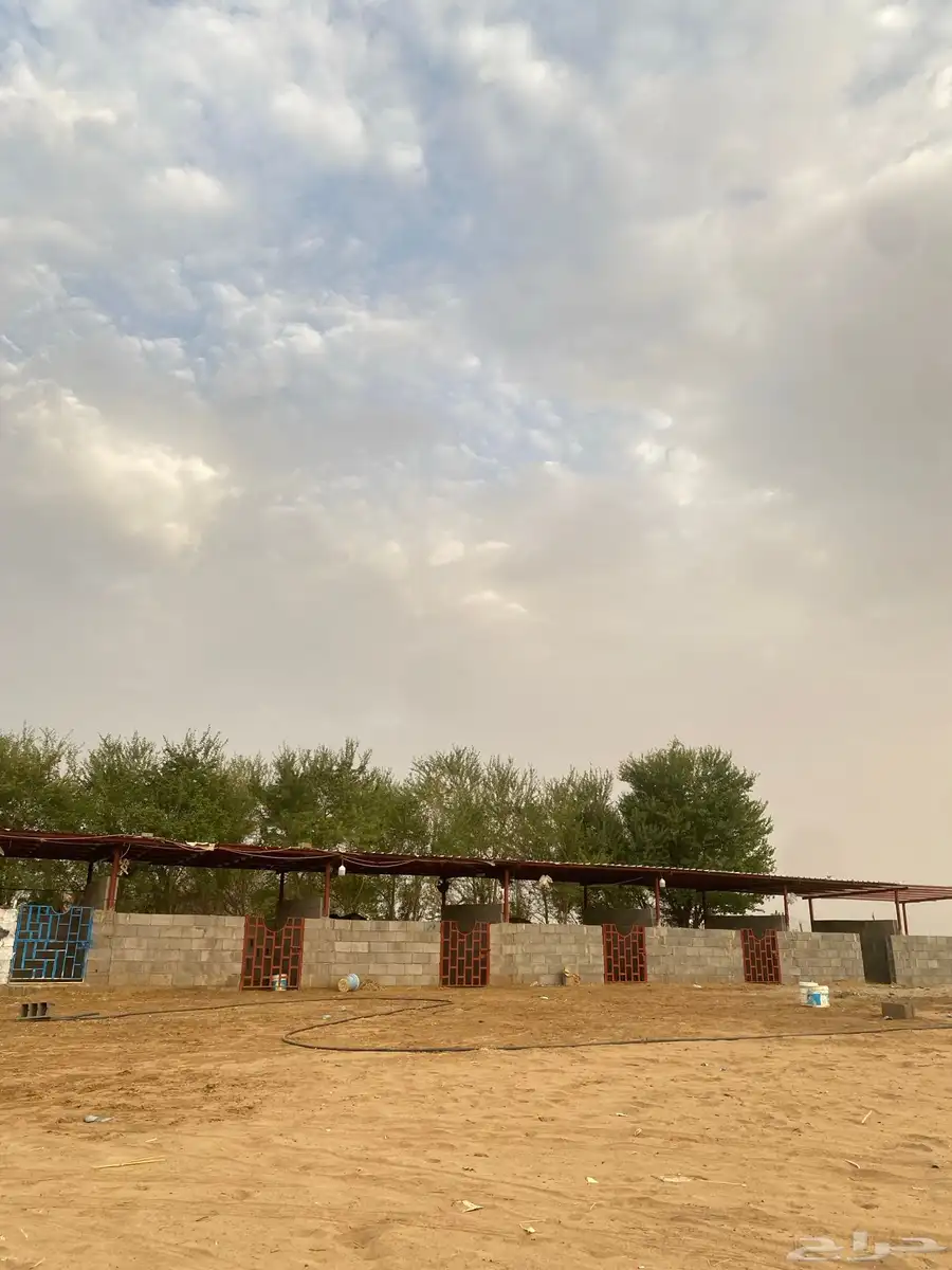 مركز فروسيه 0