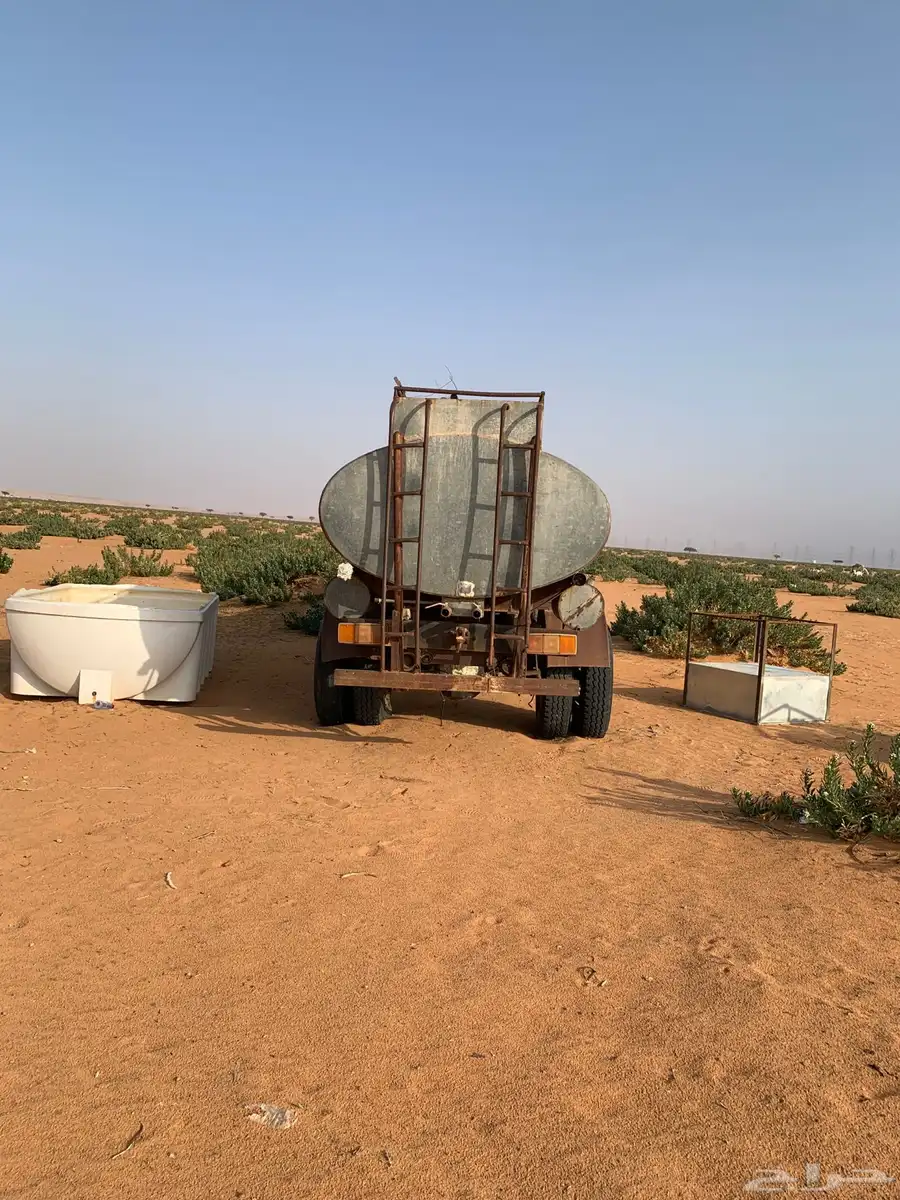 وايت دوج 1