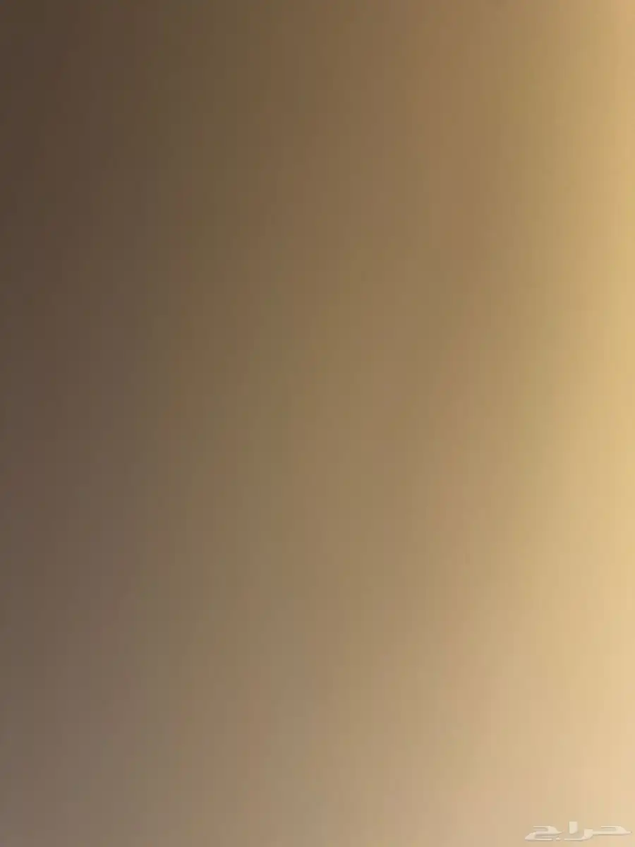 مطلوب شقة عزاب 0