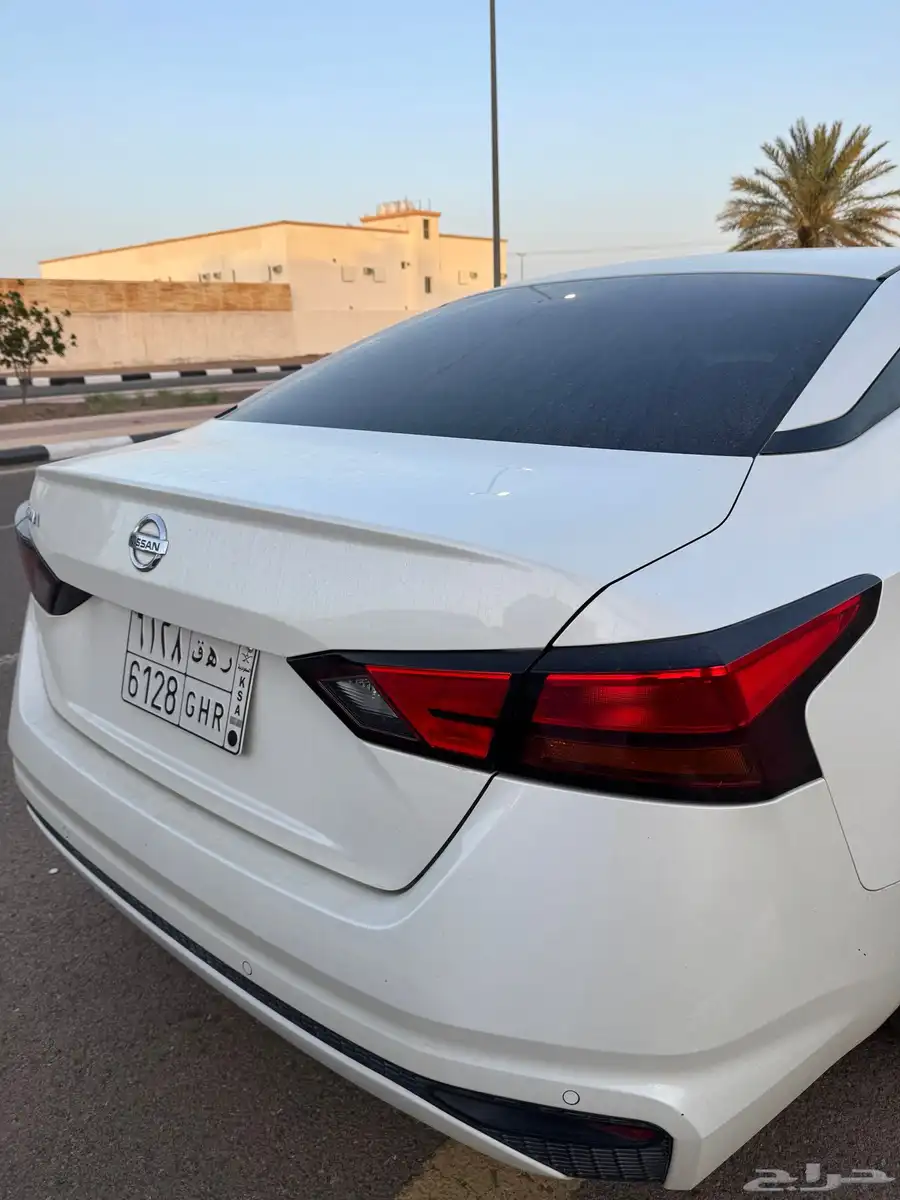 التيما 2020 4