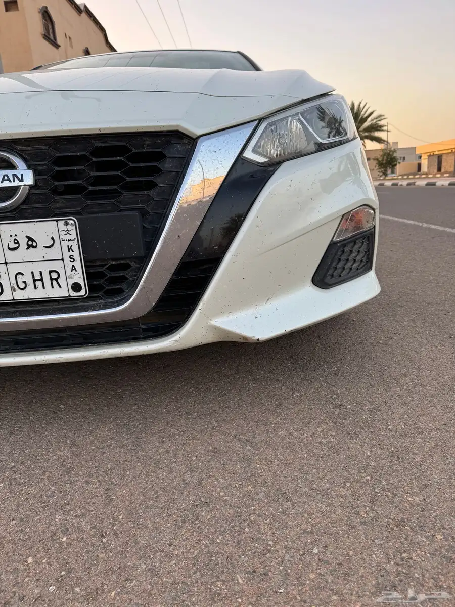 التيما 2020 14