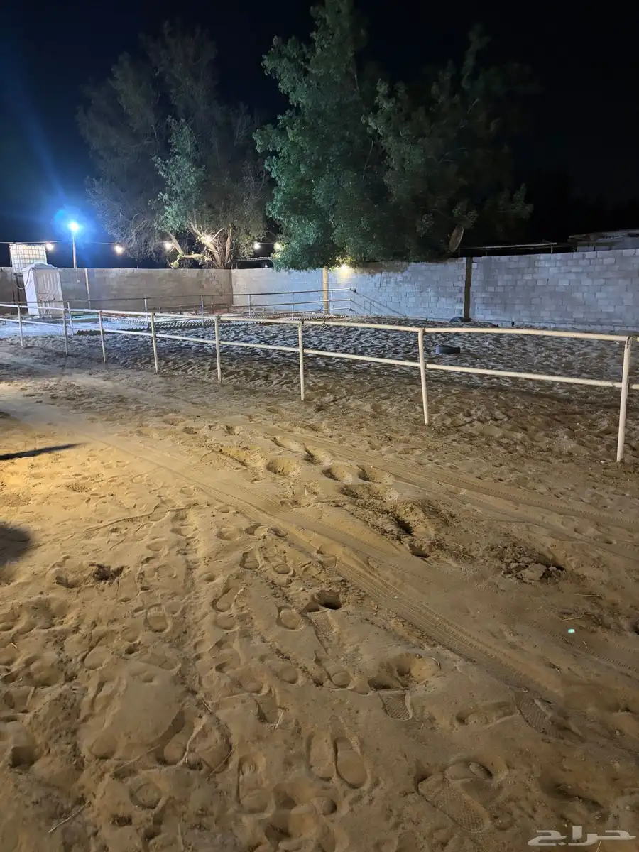 مربط الريم الايواء 8