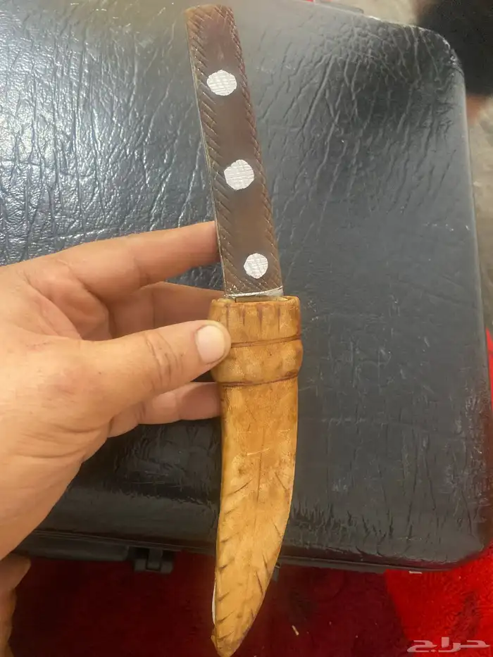 سكين شفره قرن شغل القنوي 4