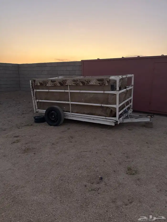 عربه خيل للبيع 2