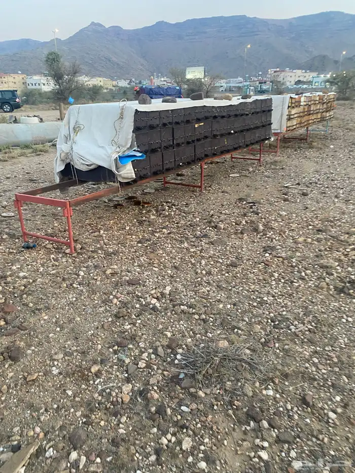 نحل للبيع 120 اعواد محايلي النحل بحاله جيده مع الشبك غرفه 0
