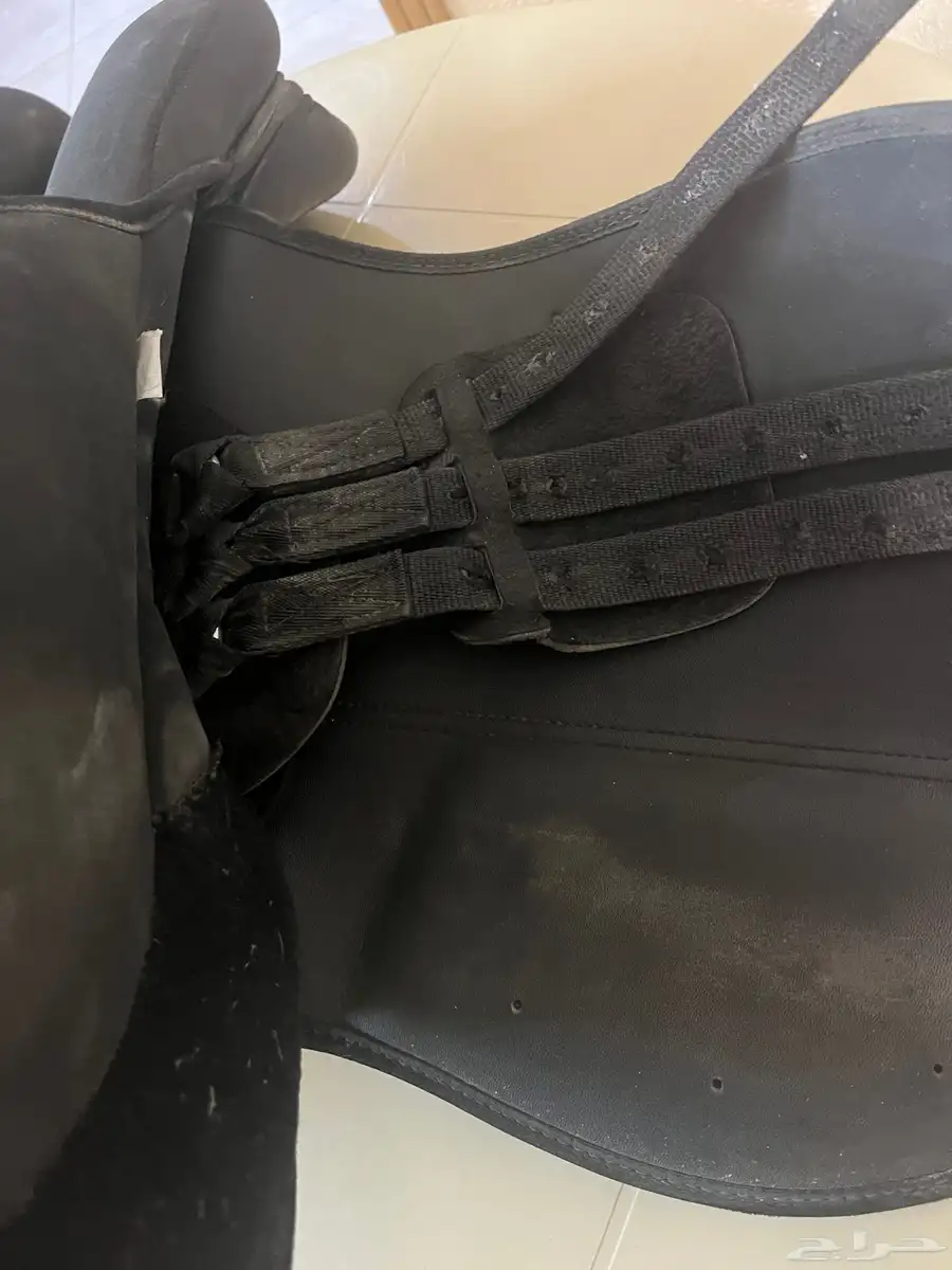 سرج خيل 6