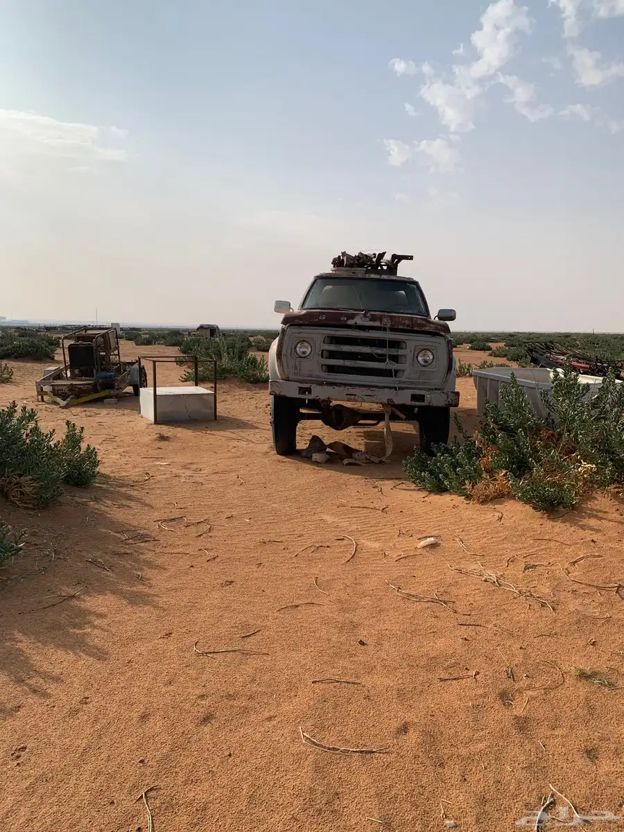 وايت دوج 0