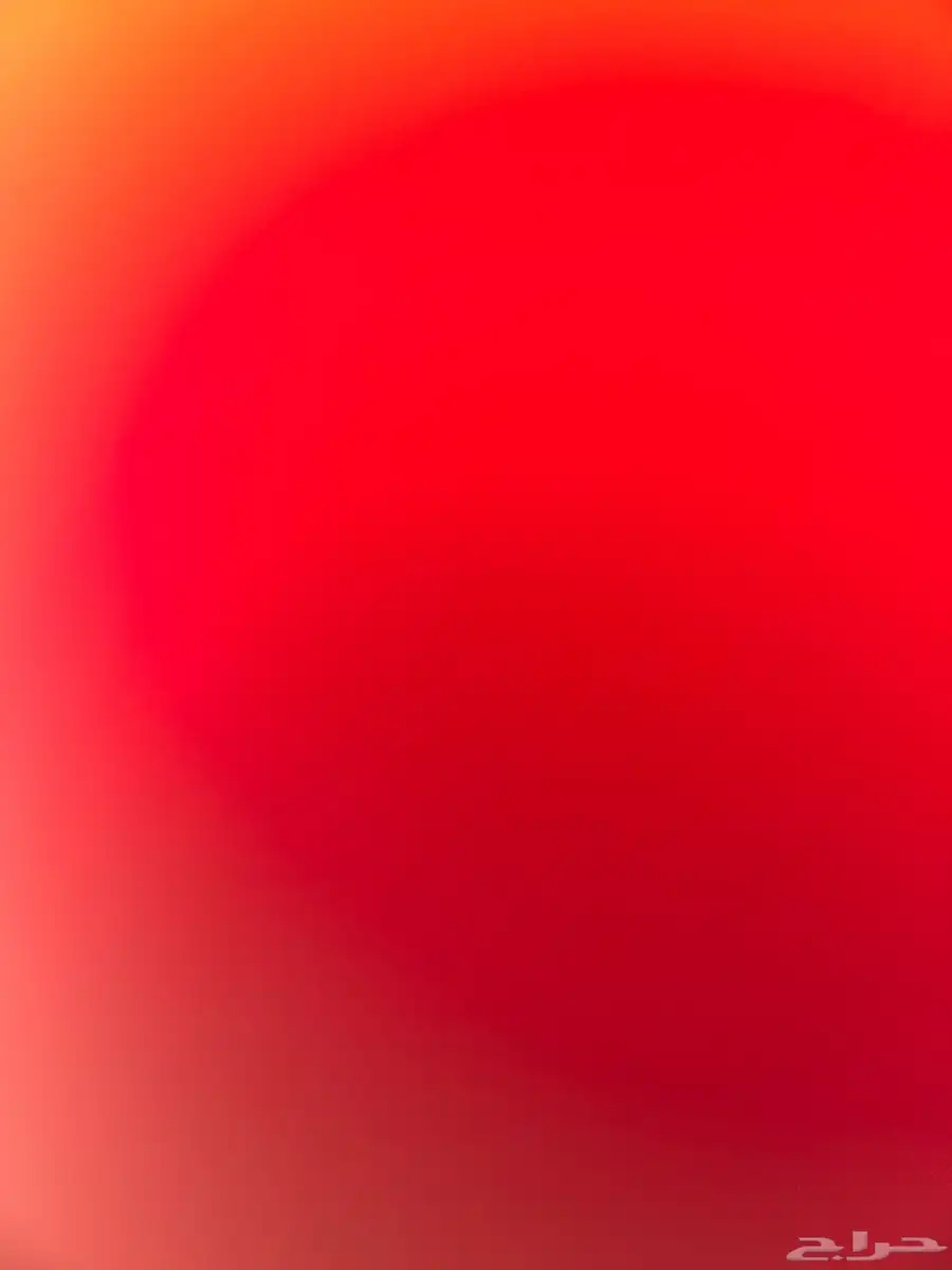 قطه ل التبني 0