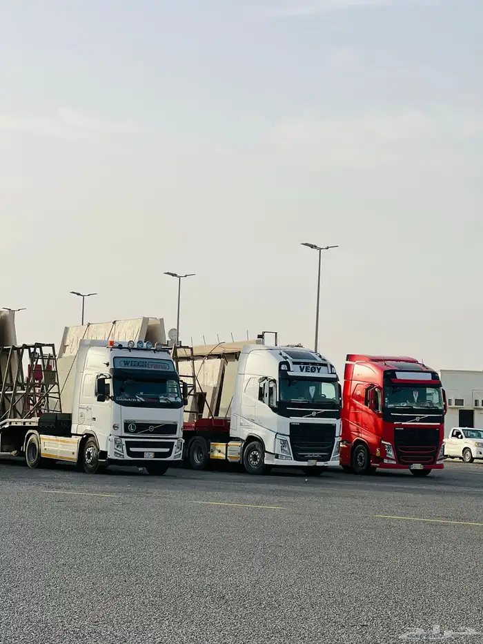 لوبد في جازان وضواحيها 0