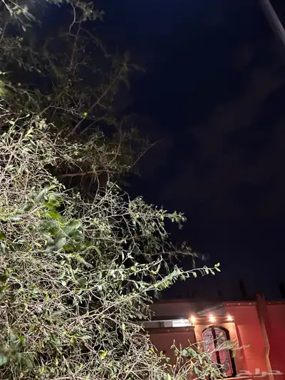 ايفون 11 برو 3