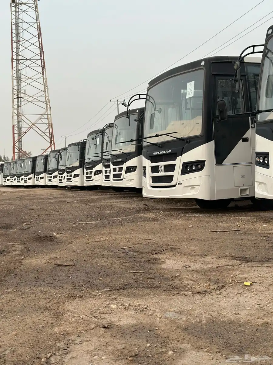 معارض ومزادات 3