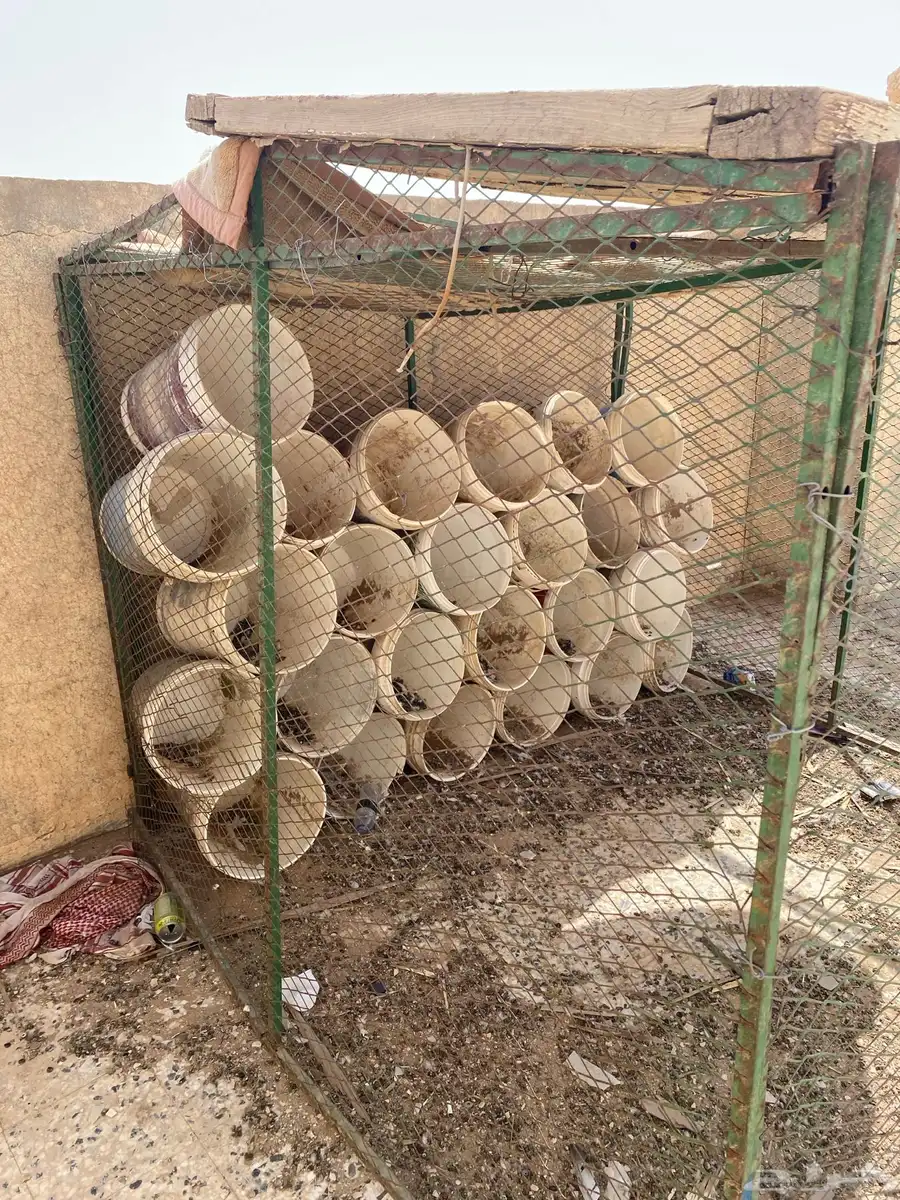 عشه حمام ودجاج 2