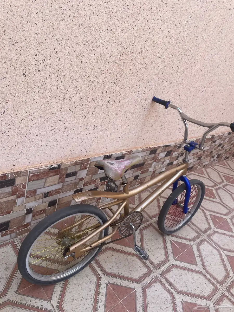 سيكل كوبرا الموقع ساجر 7