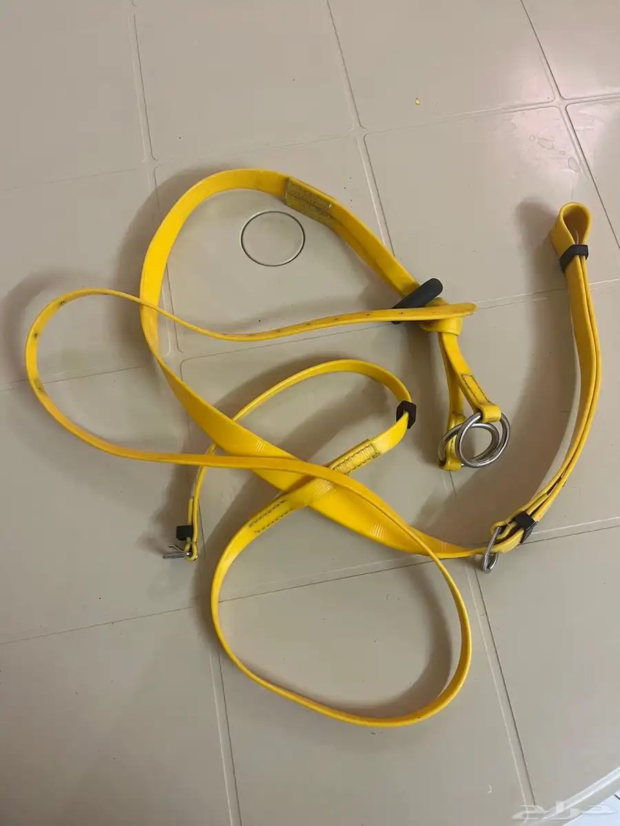 سرج خيل 8