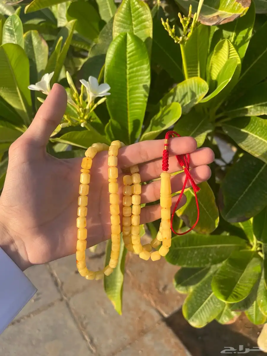 سبحه كهرمان 1