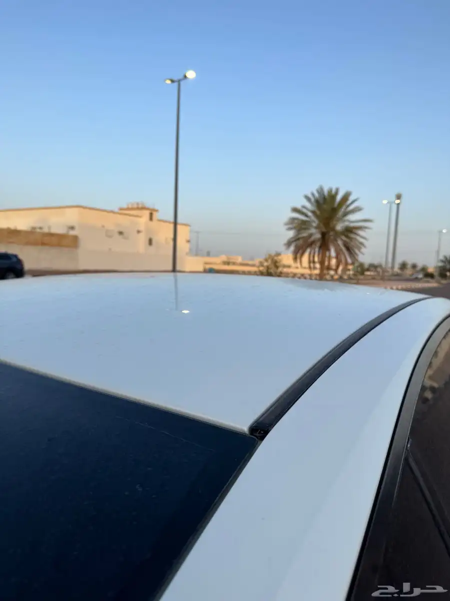 التيما 2020 8