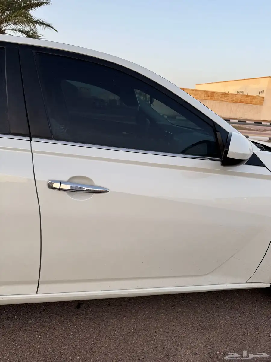 التيما 2020 7