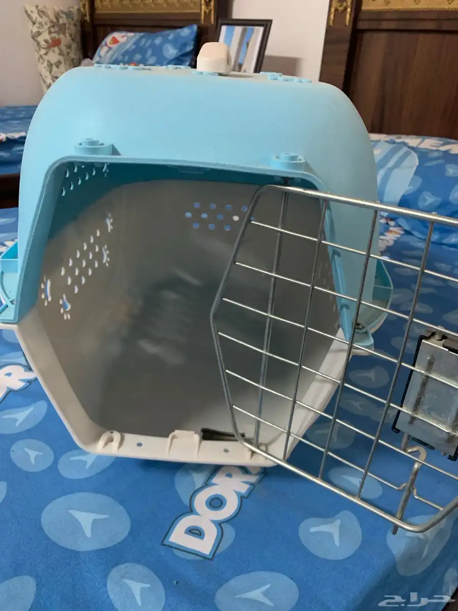بوكس قطط 2