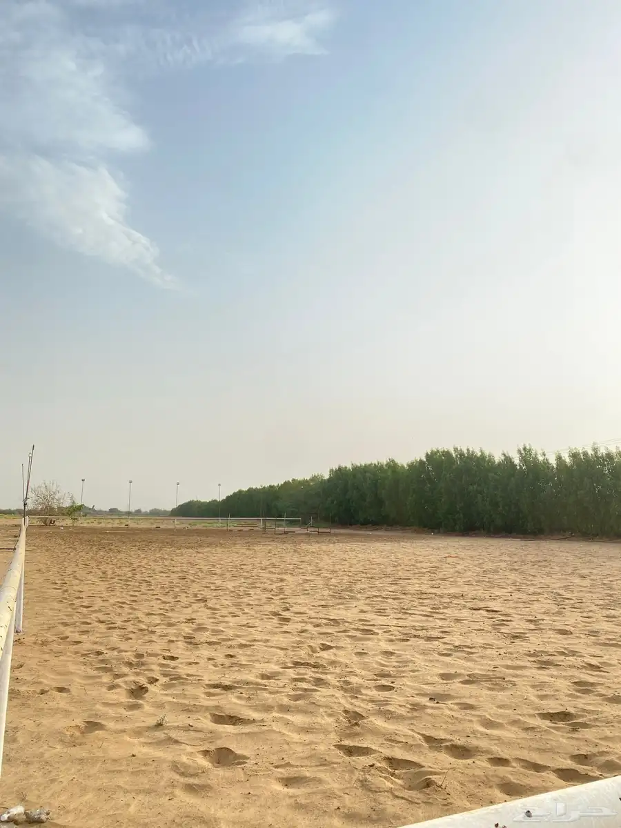 مركز فروسيه 2