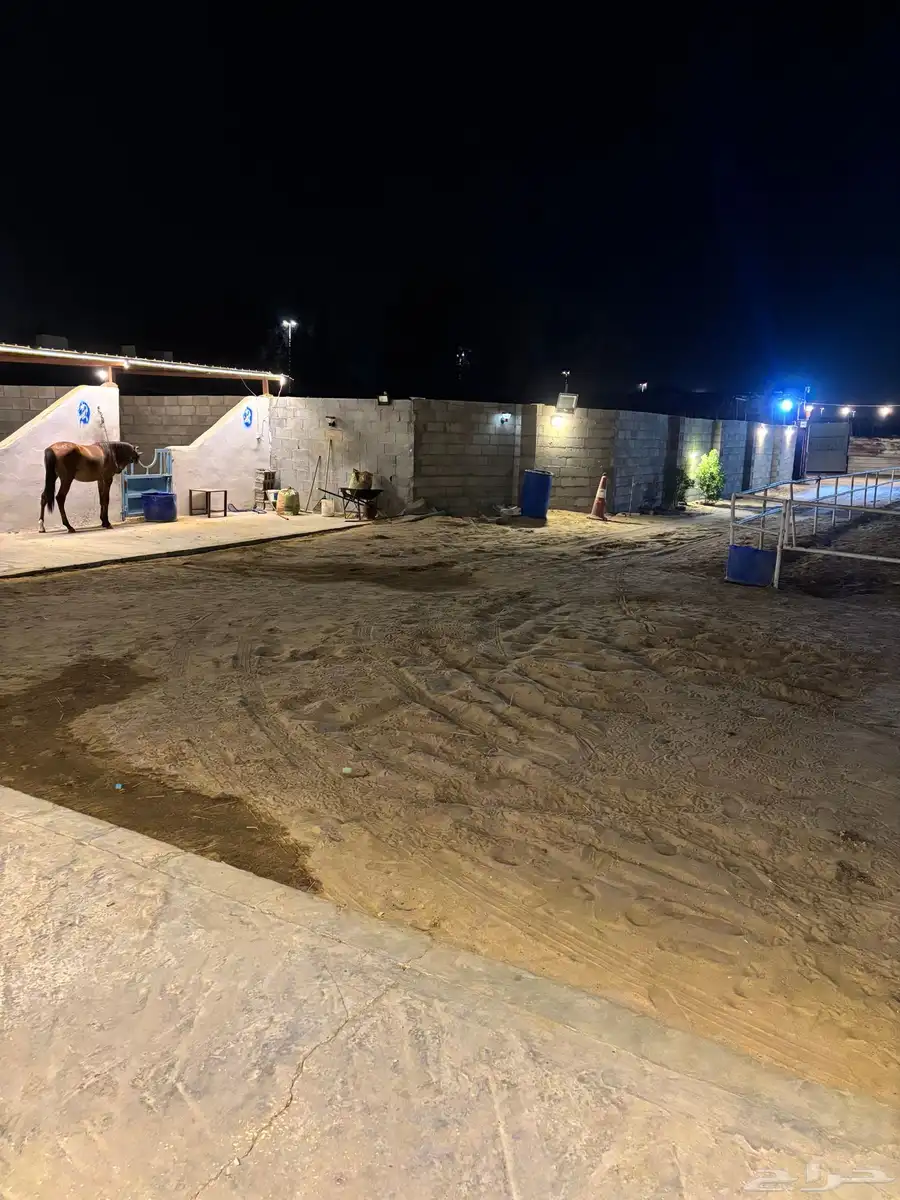 مربط الريم الايواء 4
