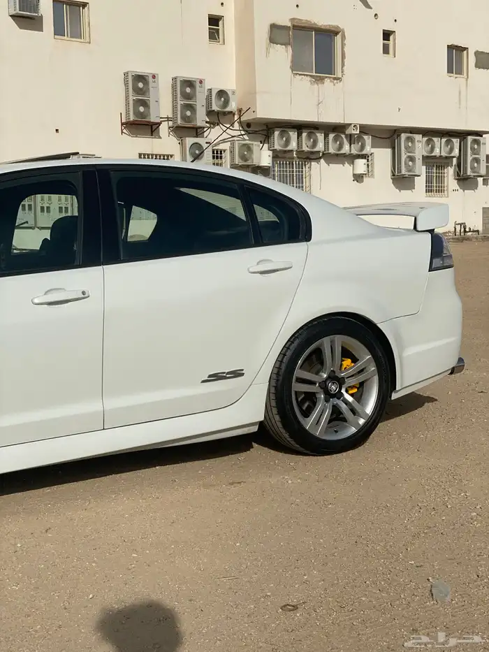 لومينا Ss 2009 2