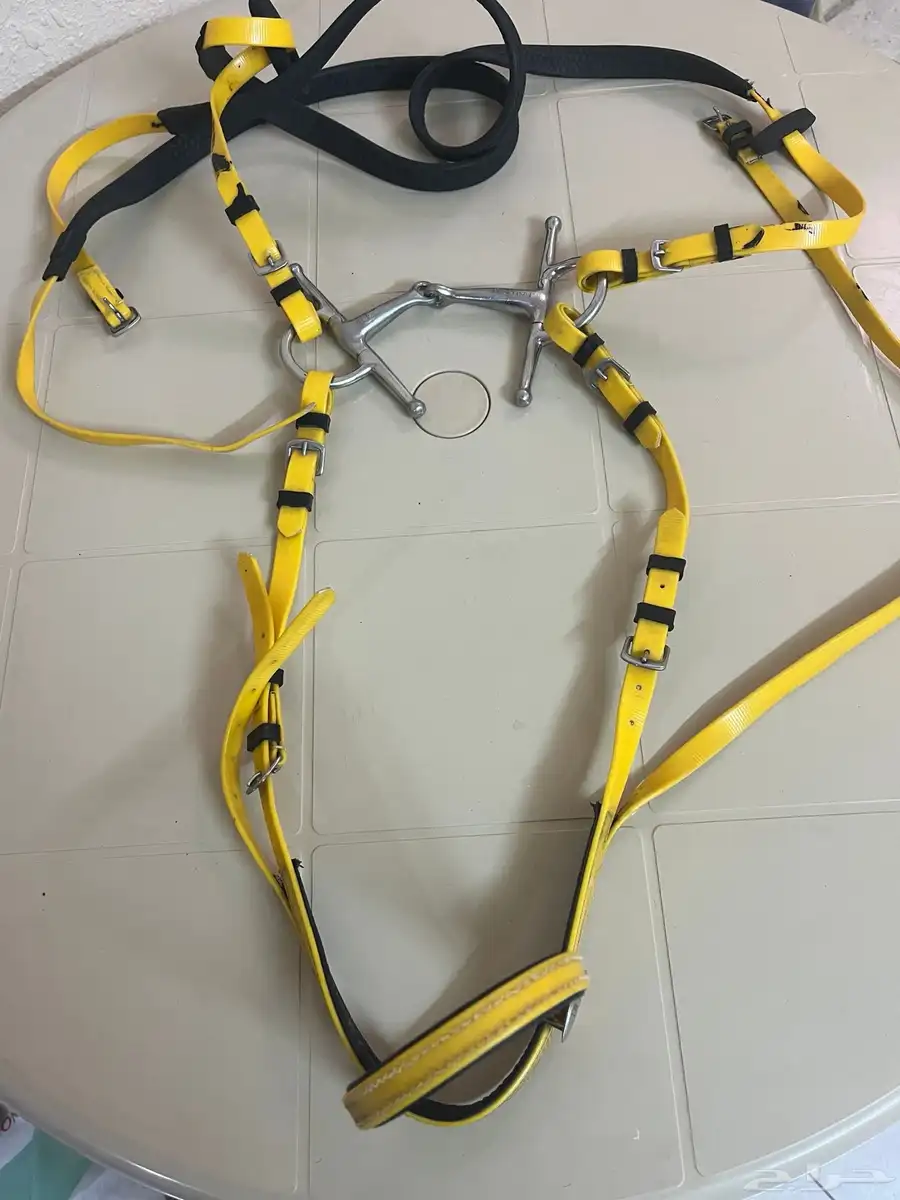 سرج خيل 7