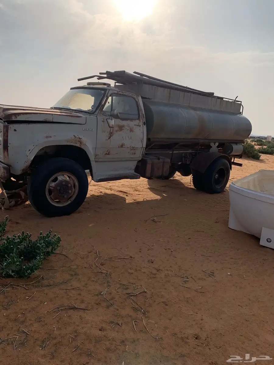 وايت دوج 2