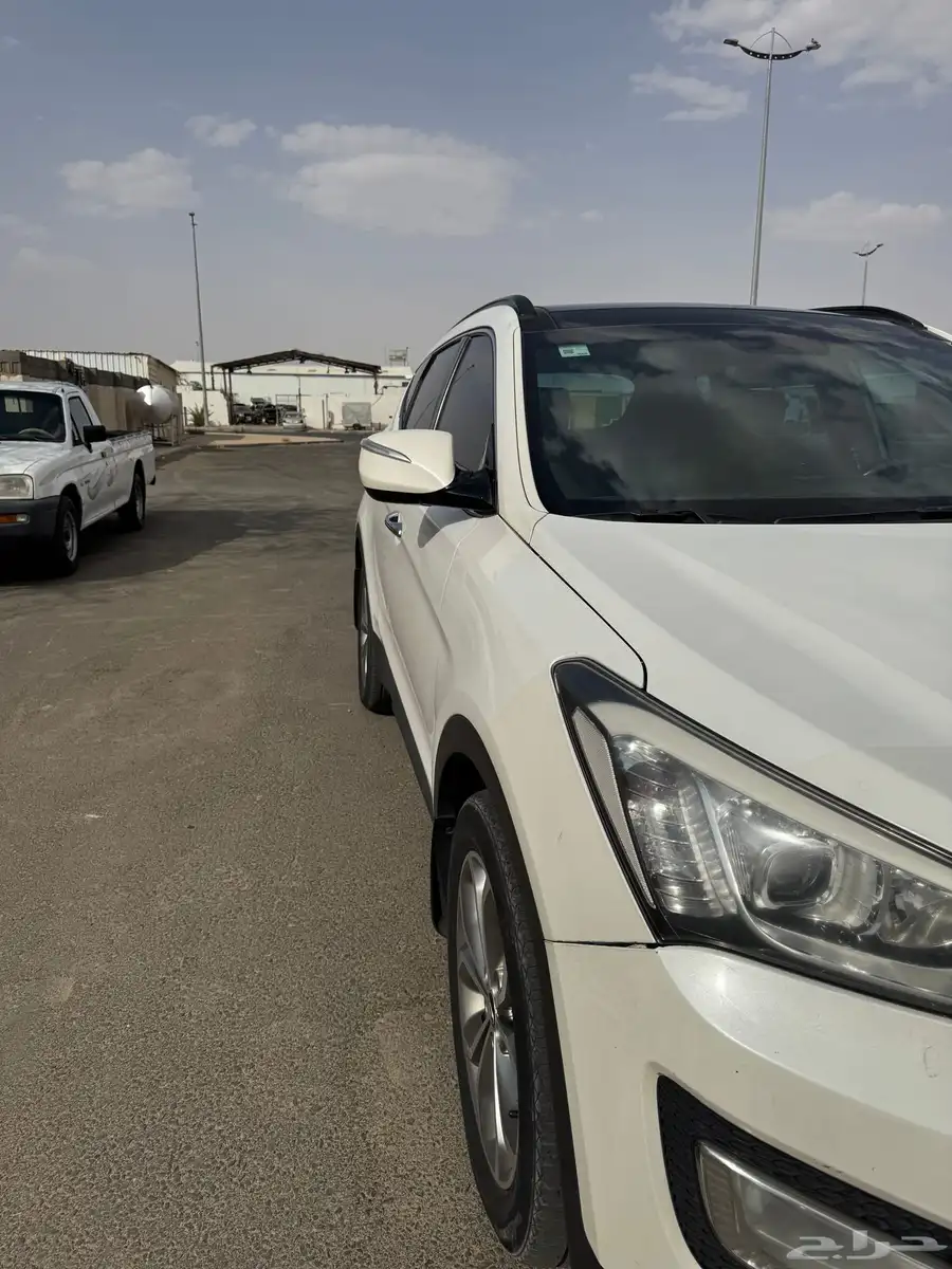 سنتافي 6 سرندل 2014 1