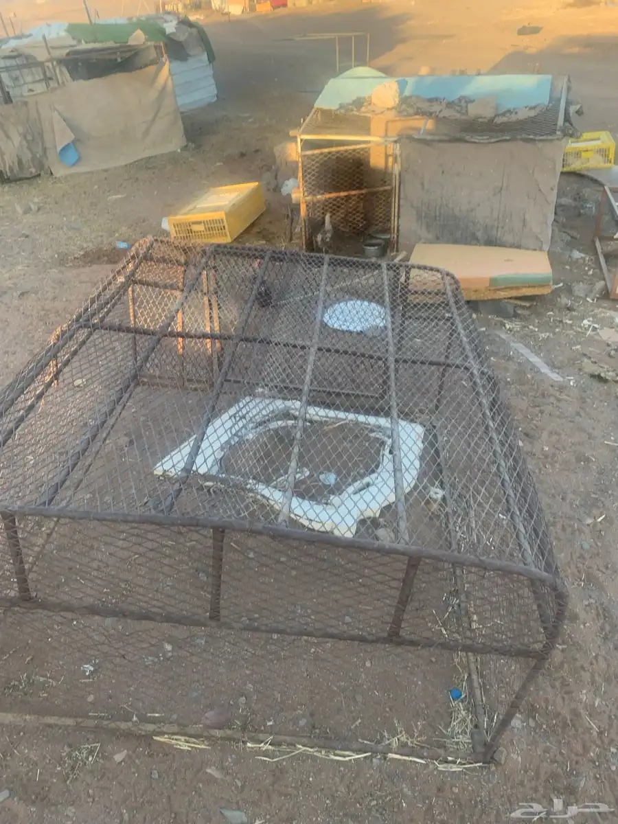شبك 0