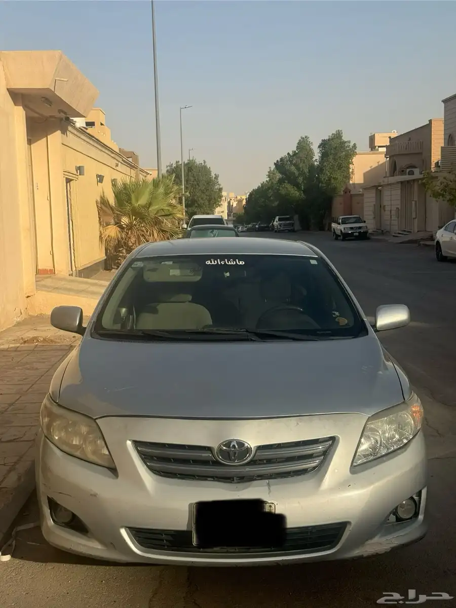 كوريلا 2009 12