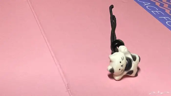 قطة بيت هاربه 0