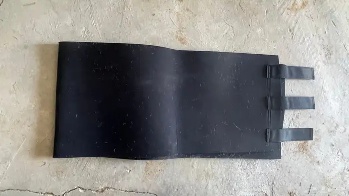 عراقة رقبه خيل جمال 1