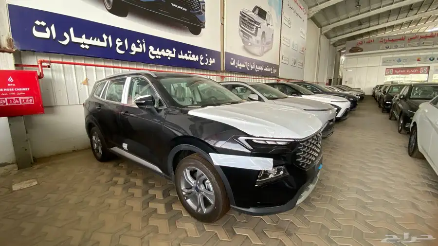 فورد تيريتوري ترند 2025 7