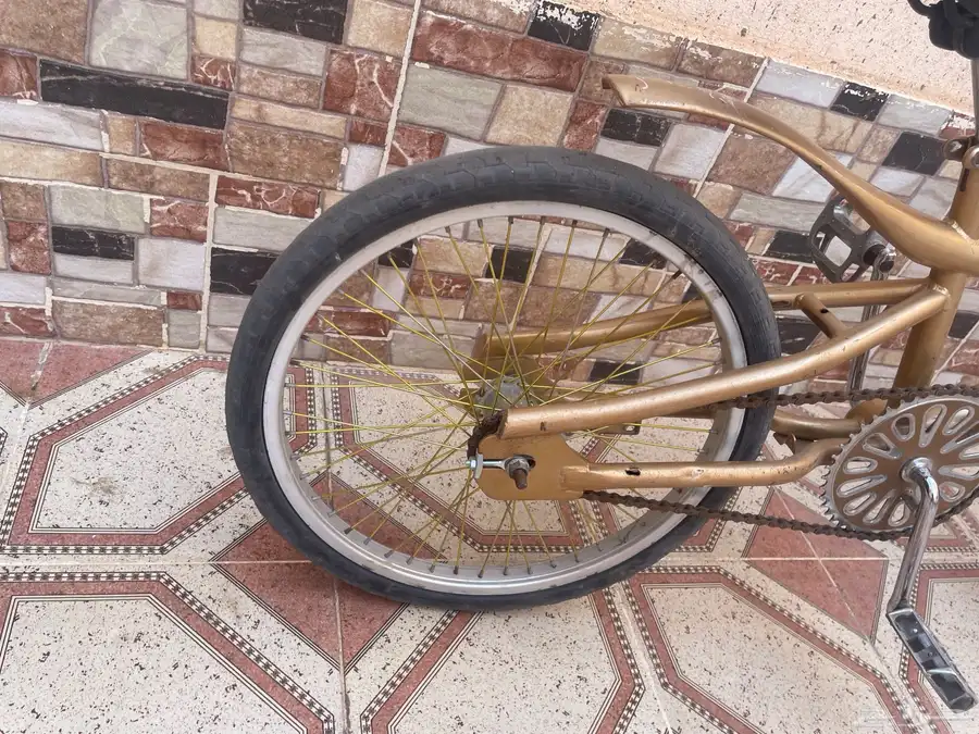 سيكل كوبرا الموقع ساجر 2
