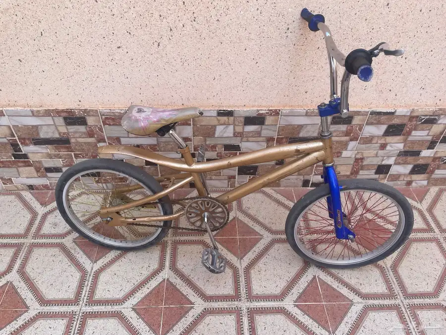 سيكل كوبرا الموقع ساجر 1
