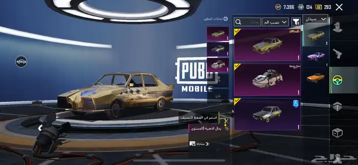 حساب ببجي للبيع صيده 63