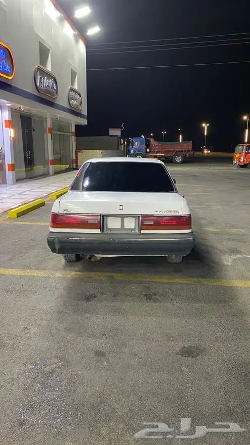 كرسيدا مسقط 1