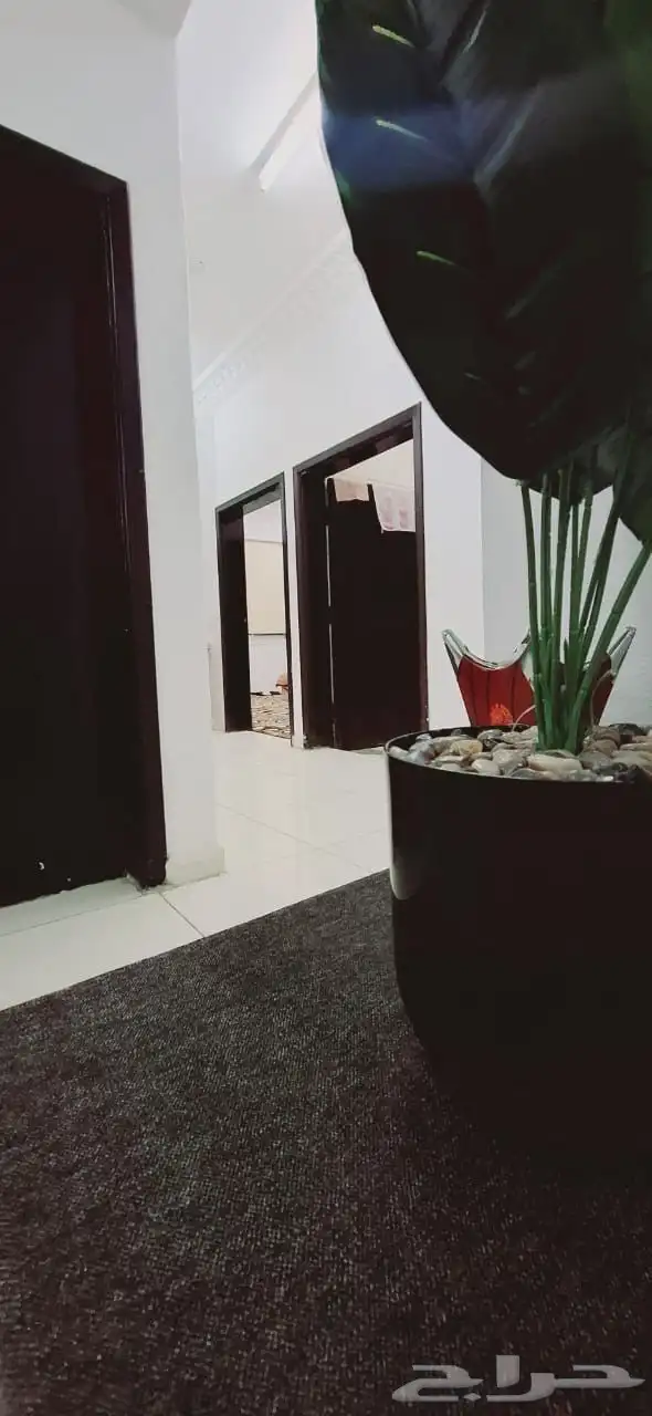 لتأجير فتره الصيف وادي بن هشبل 0